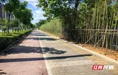 永州：实施拆围透绿行动 提升城市宜居品质