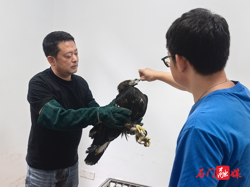 微信图片_20250625155955.jpg