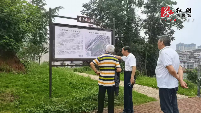 图片3.png