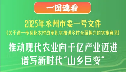 一图速看丨2025年永州市委一号文件