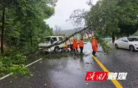 隆回公路：迎战强降雨 全力守护公路安全畅通