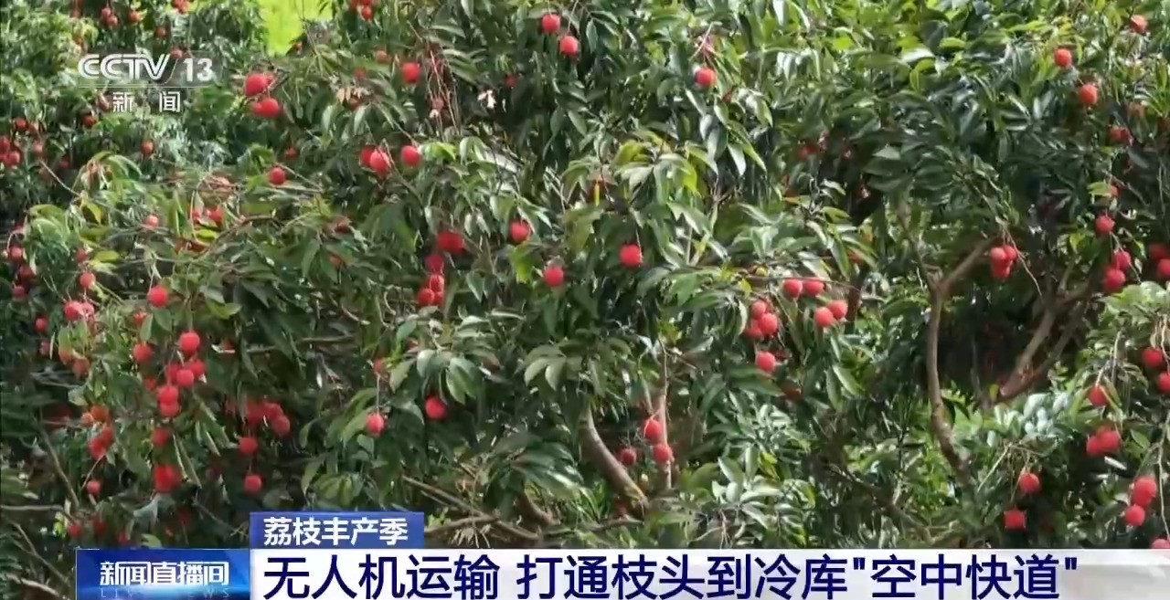 从分支机构到全球餐桌，广东湖人打开了“四个