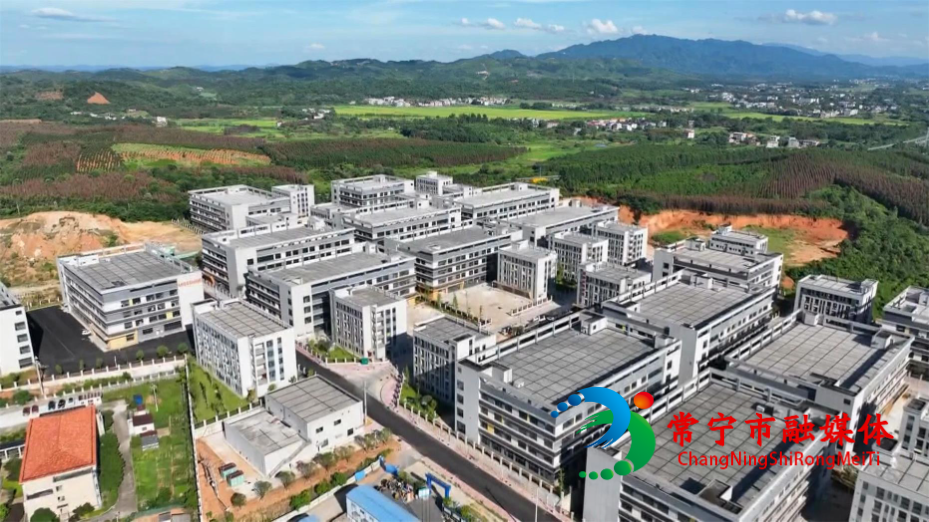 陈小燕55.jpg
