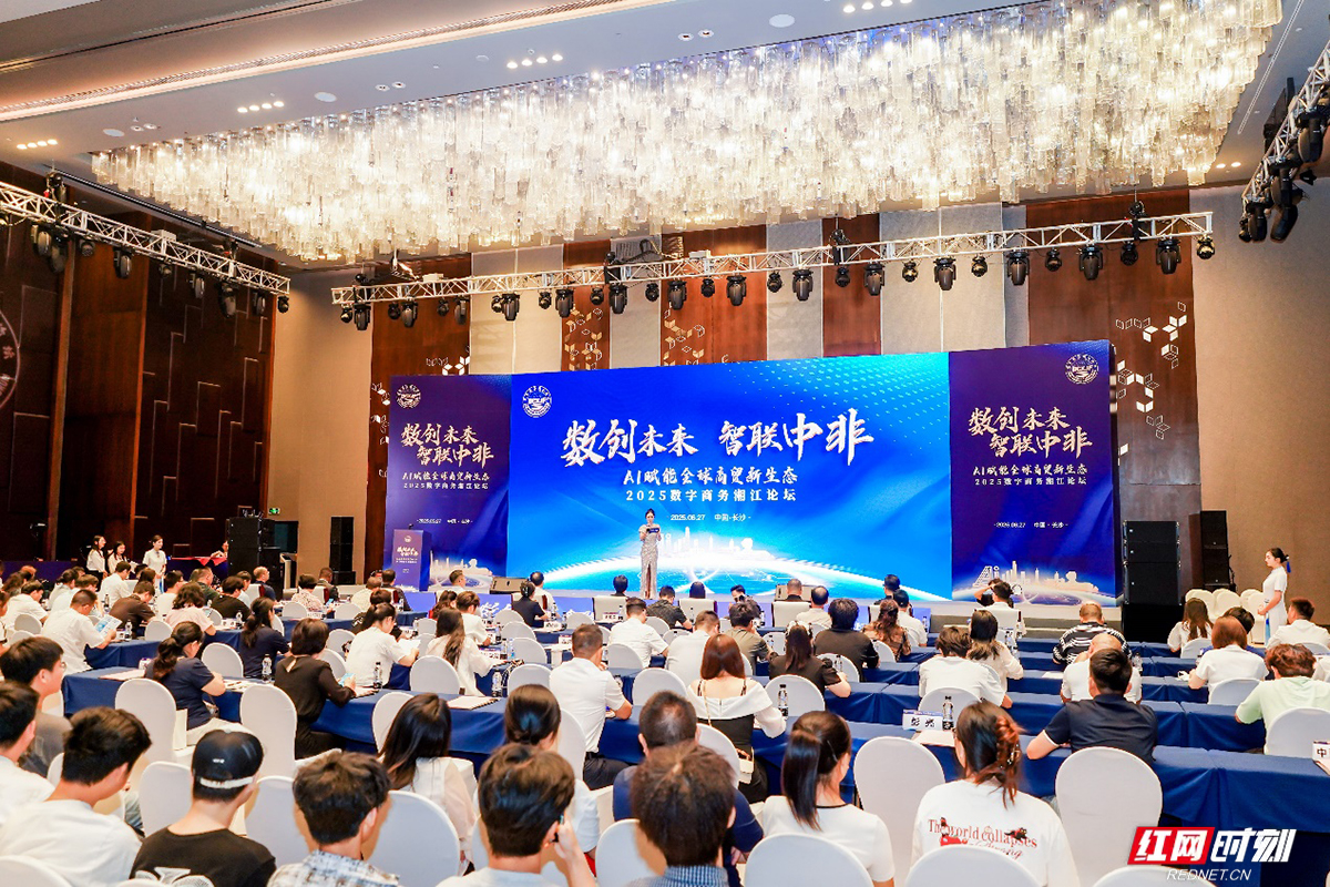 2025数字商务主题活动举行