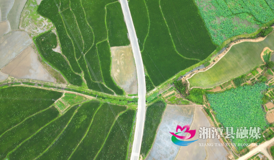 从“通”到“畅” 湘潭县农村公路提档升级激活乡村新动能276.png