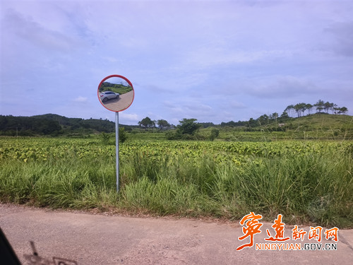 宁远县保安镇：五小工程 织密交通防护网_副本500.jpg