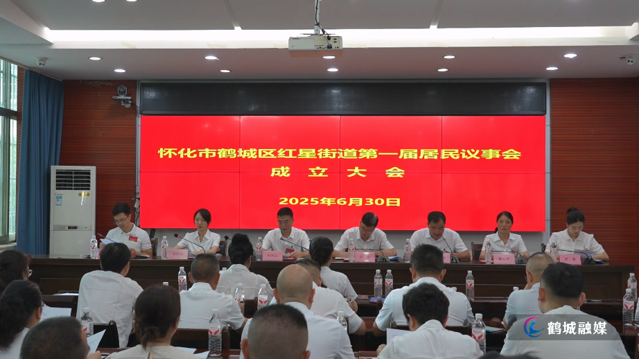 鹤城区首批街道居民议事会成立.mp4_20250630_172706.939.jpg