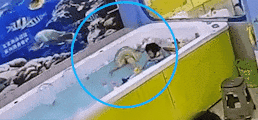 揭阳4岁女童泳池内溺亡一旁两名成年女性未察觉新浪新闻 (1).gif