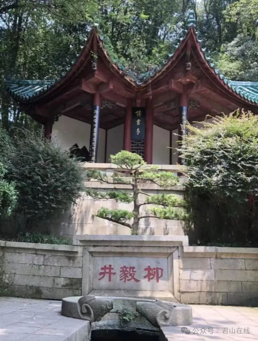 图片