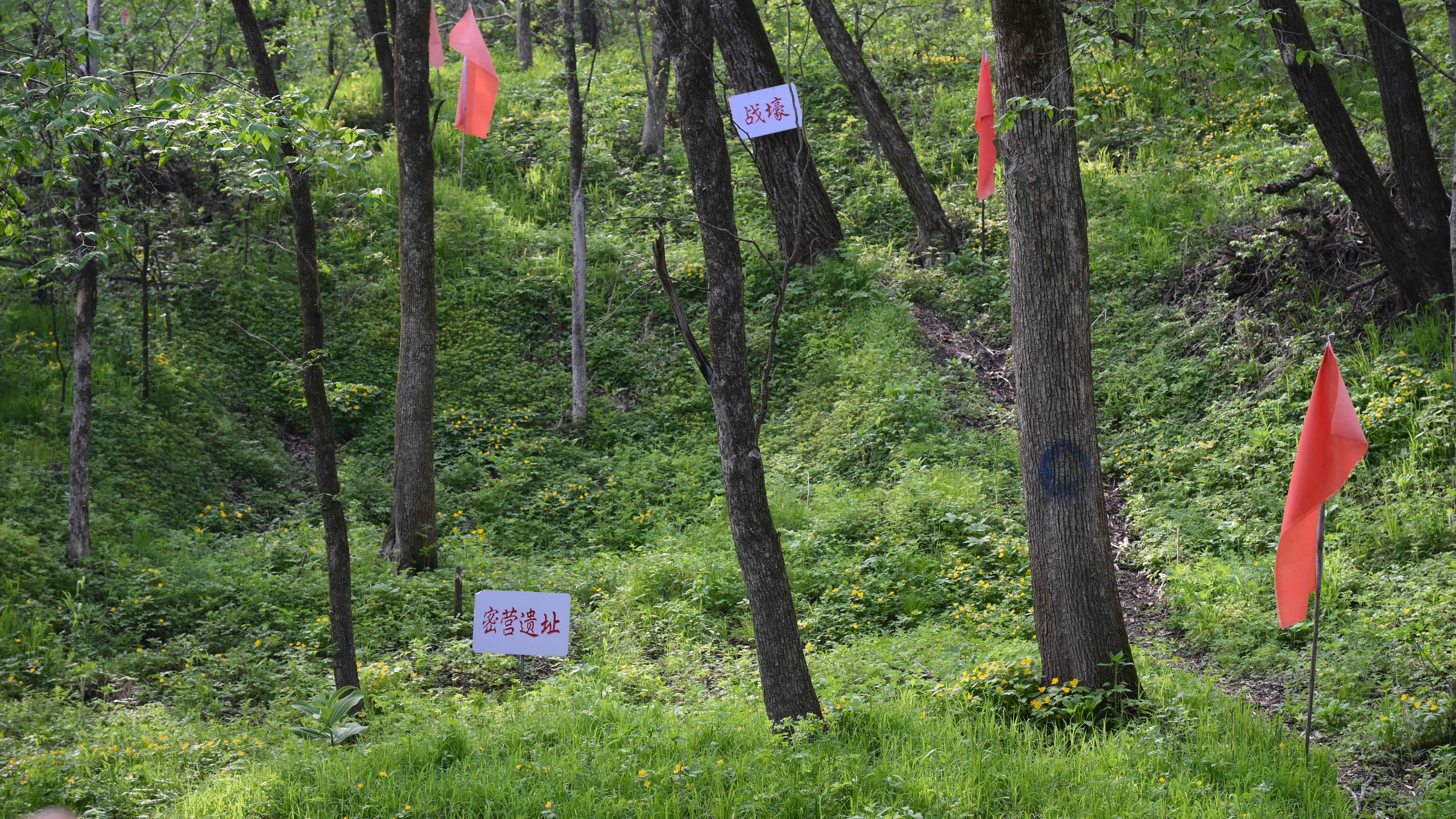 记住历史并记住烈士