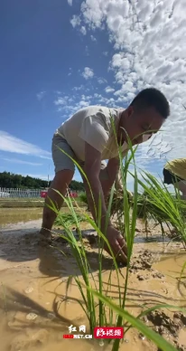体验农耕人的“苦与光”
