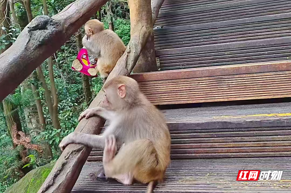 微信图片_2025-07-01_123735_693.jpg