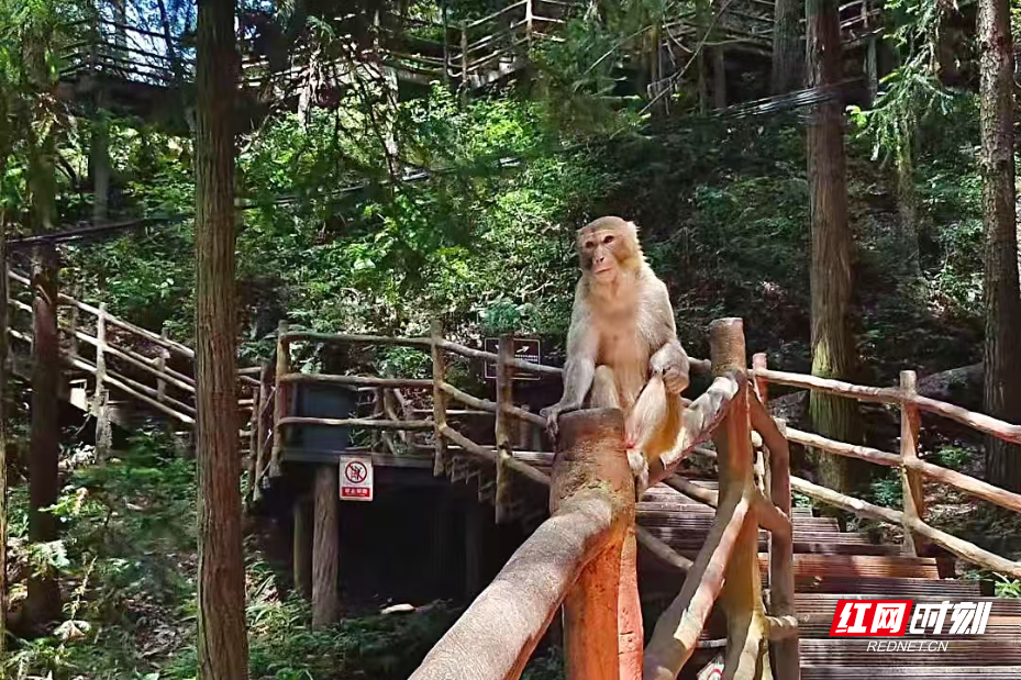微信图片_2025-07-01_123720_925.jpg
