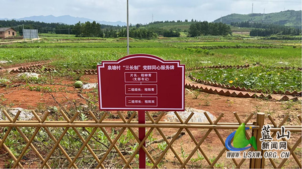 土市镇泉塘村“六小园”建设：激活乡村振兴动能.jpg