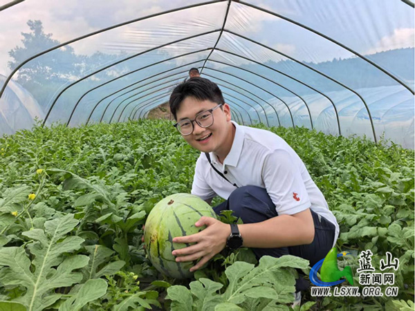 土市镇泉塘村：选调生开展西瓜产业调研2.jpg