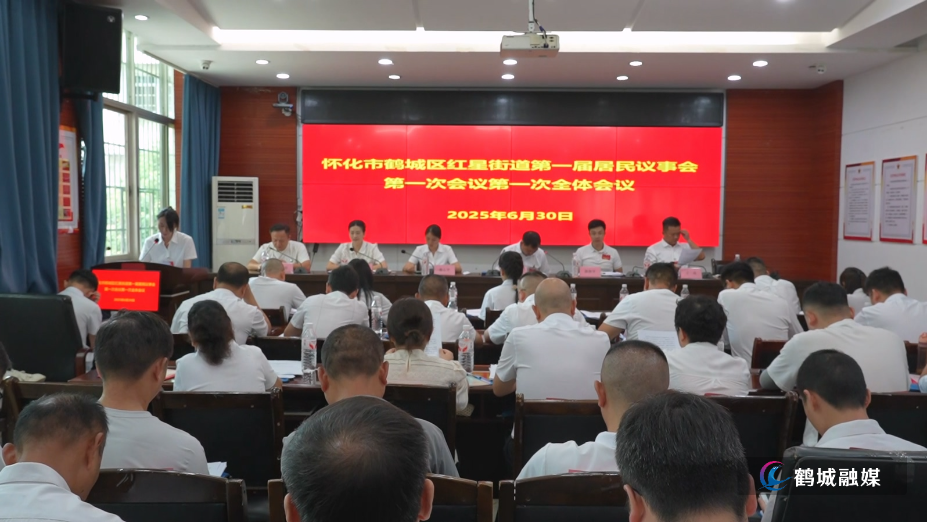 鹤城区：“议”见美好 共绘基层治理新蓝图（半成品）.mp4_20250701_172336.183.jpg