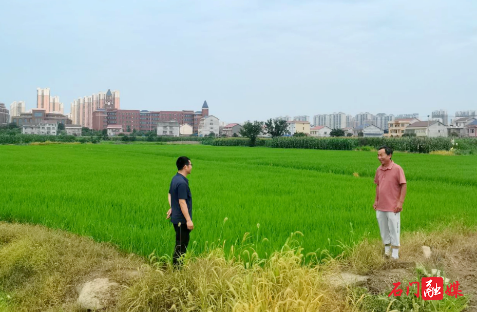 二都街道:精准数据护航粮食安全1.jpg 二都街道:精准数据护航粮食安全1.jpg