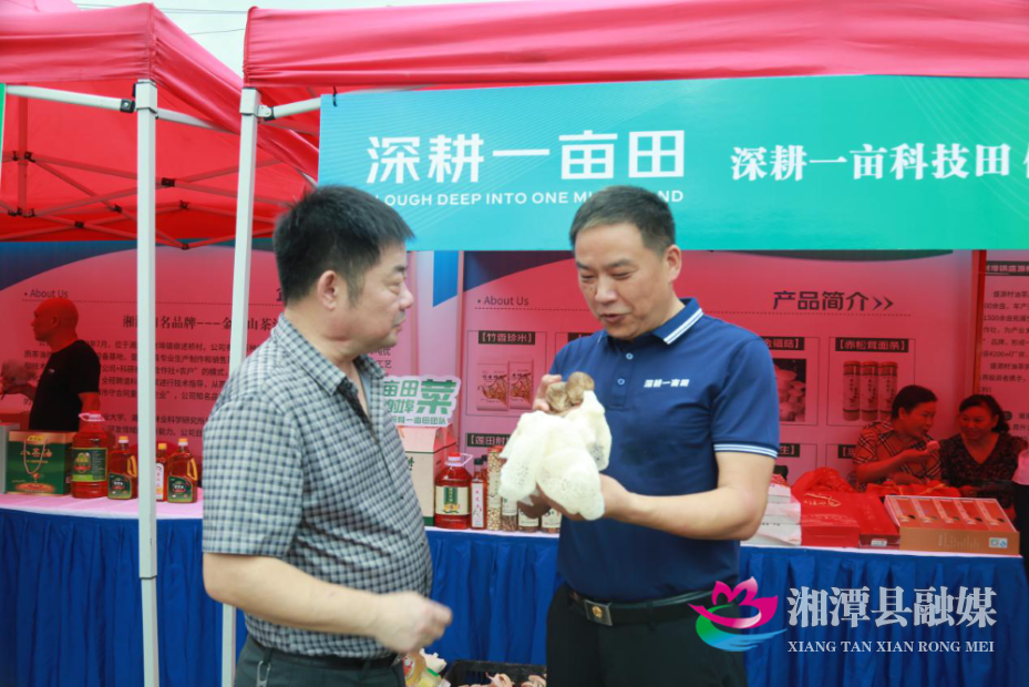 图片02.png