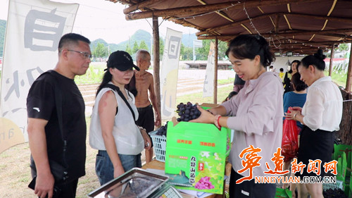 宁远：农旅融合绘就乡村振兴“丰”景图2_副本500.jpg
