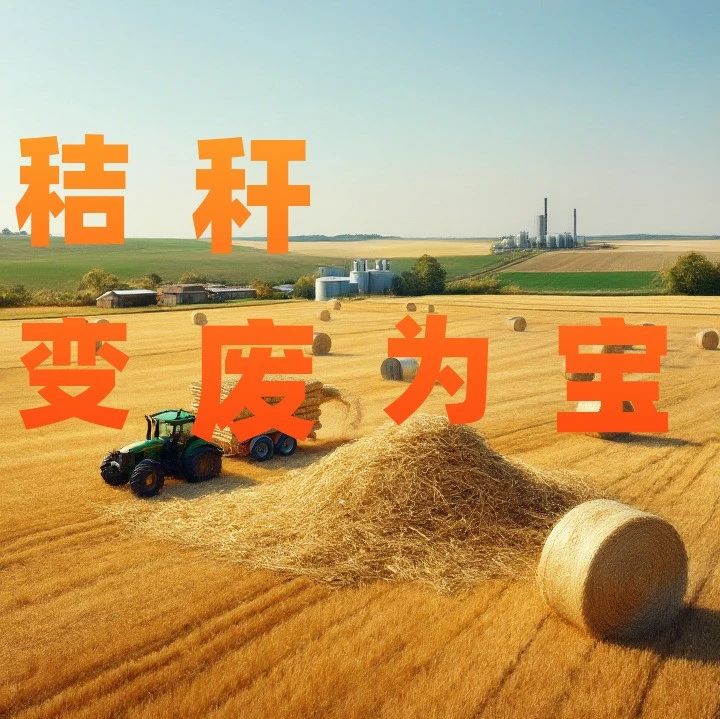 秸秆如何点“草”成金？这个视频带你了解
