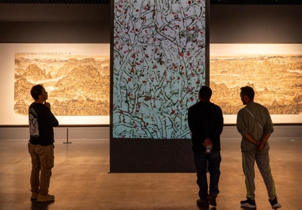 “非同小可——李小可艺术展”在西藏美术馆开幕