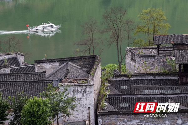 微信图片_20250704084830_副本.jpg