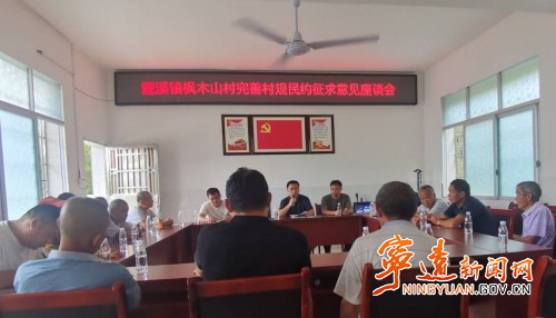 宁远鲤溪镇：党建引领 厚植乡风文明1_副本500.jpg