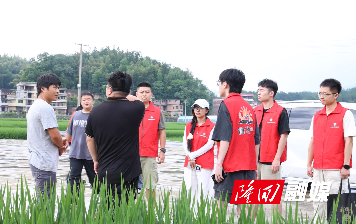 中南林业科技大学青马笃行志愿服务团到隆回开展暑期社会实践(图1)