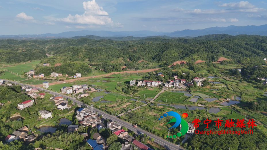 应伏村1.jpg