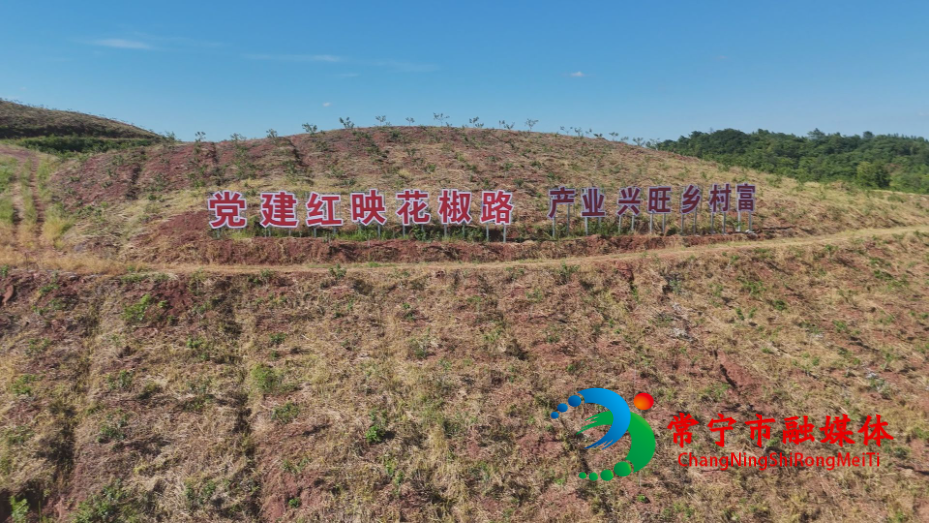 应伏村4.jpg