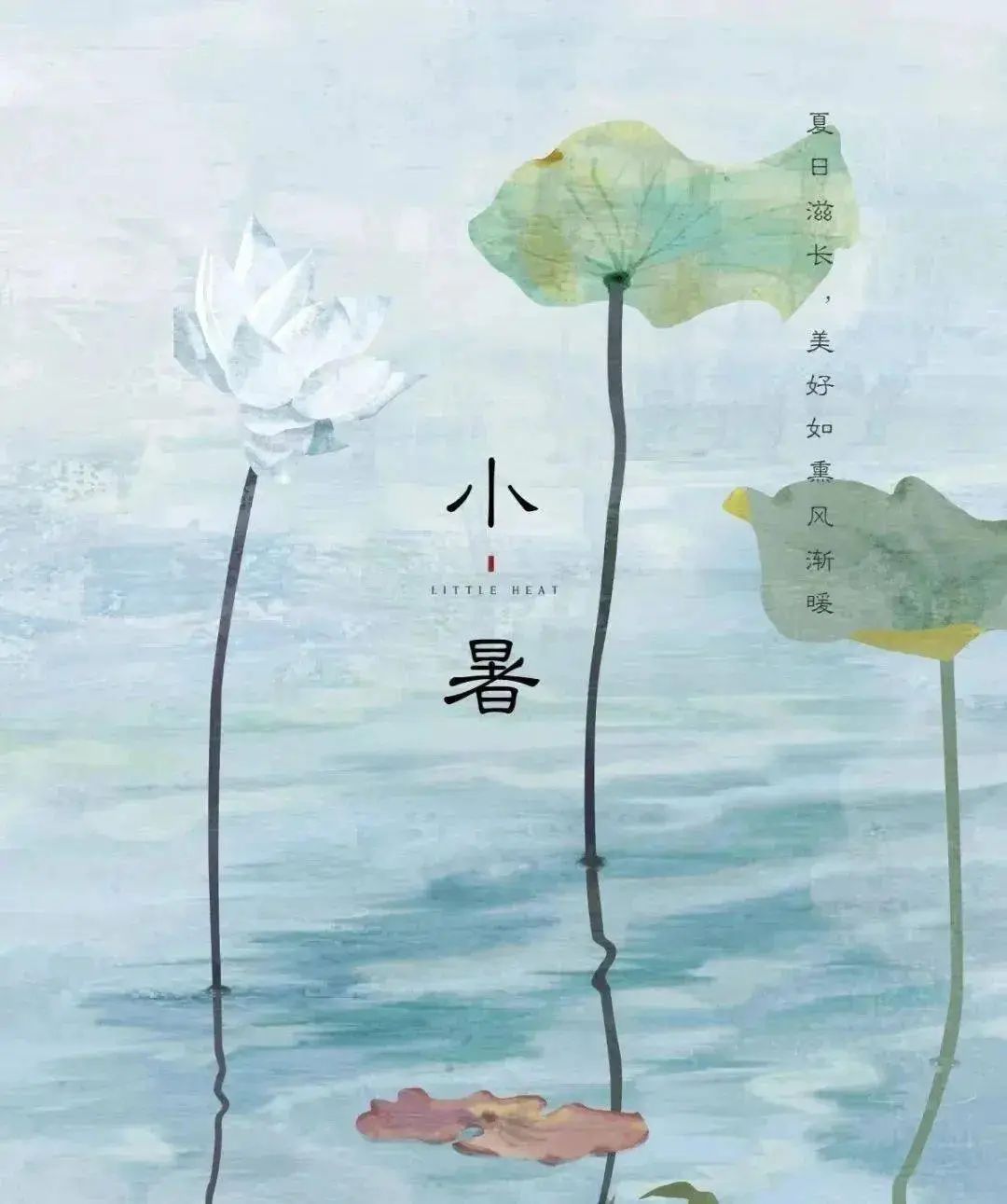 小暑.jpeg