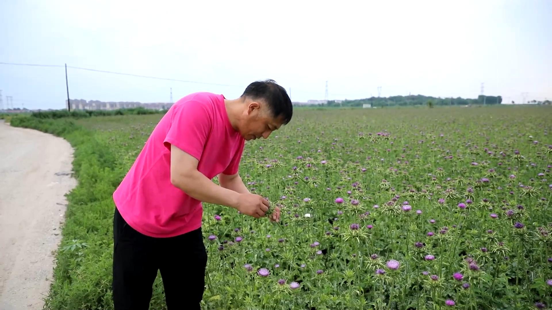 新华社的观点丨追逐梦想和肥沃的领域来探索人
