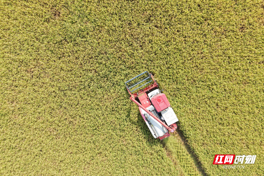 DJI_20250706090515_0007_D 拷贝.jpg