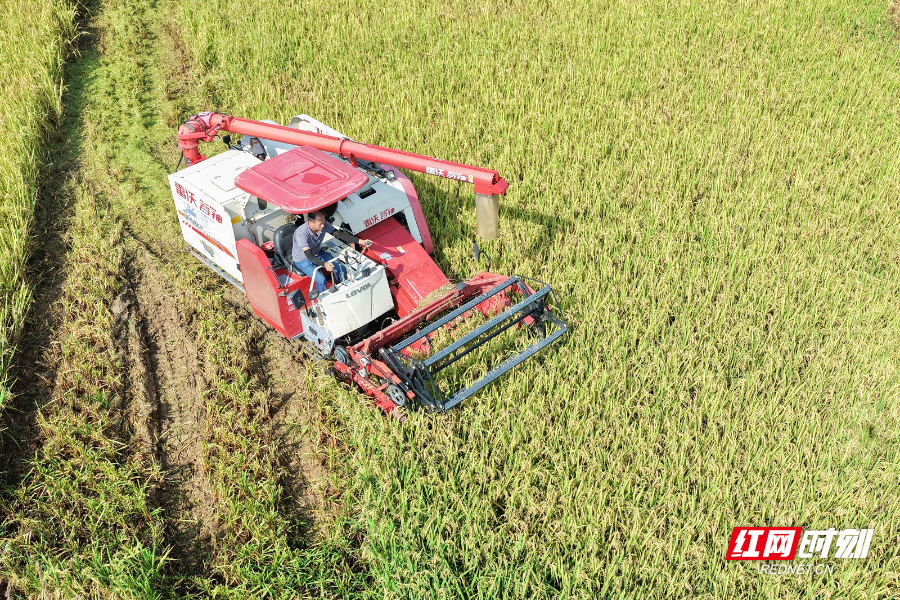 DJI_20250706090601_0009_D 拷贝.jpg