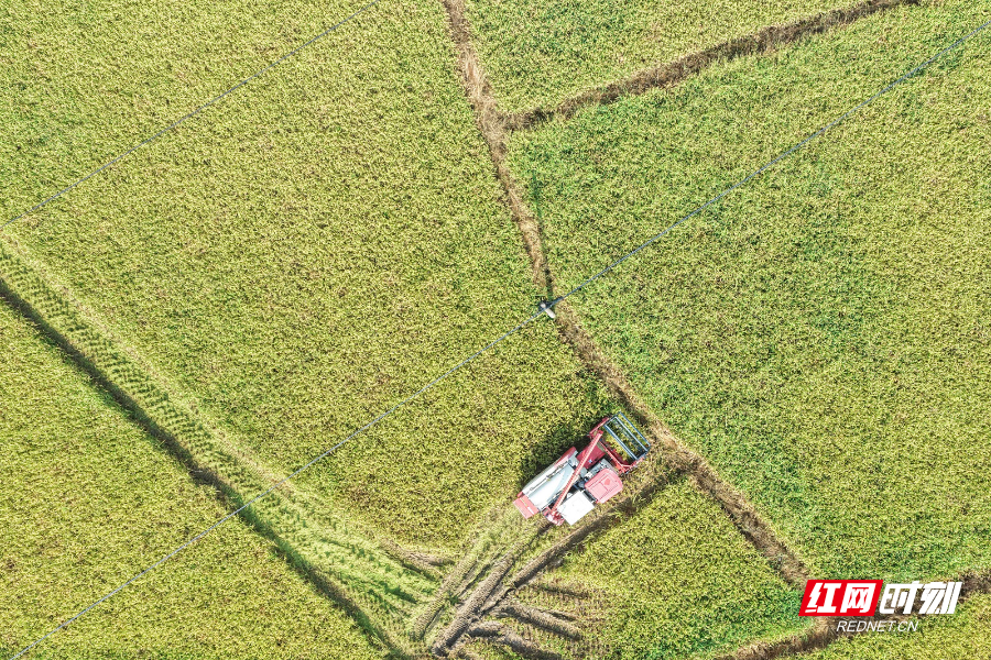 DJI_20250706090650_0011_D 拷贝.jpg
