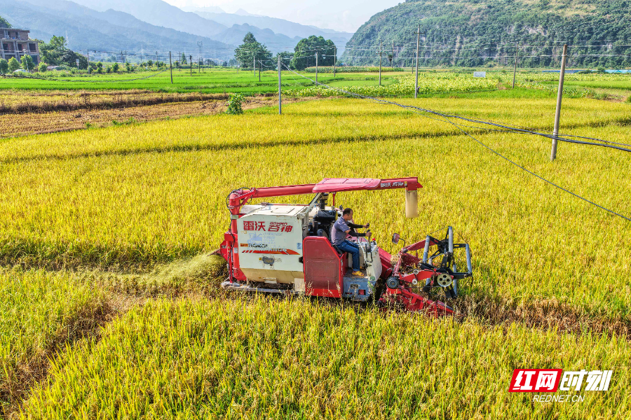 DJI_20250706090735_0013_D 拷贝.jpg