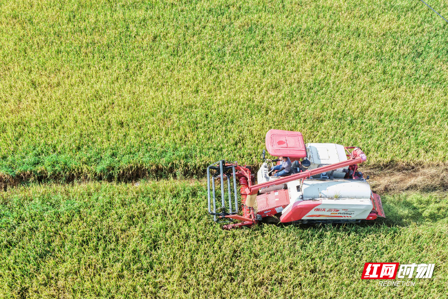 DJI_20250706091025_0018_D 拷贝.jpg