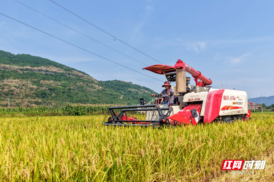 DJI_20250706094233_0042_D 拷贝.jpg