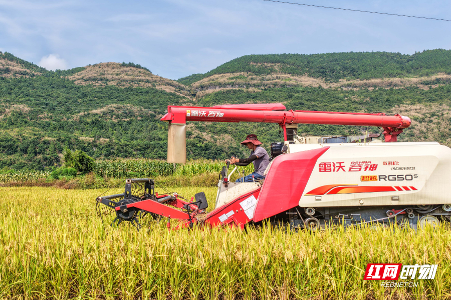DJI_20250706094240_0043_D 拷贝.jpg