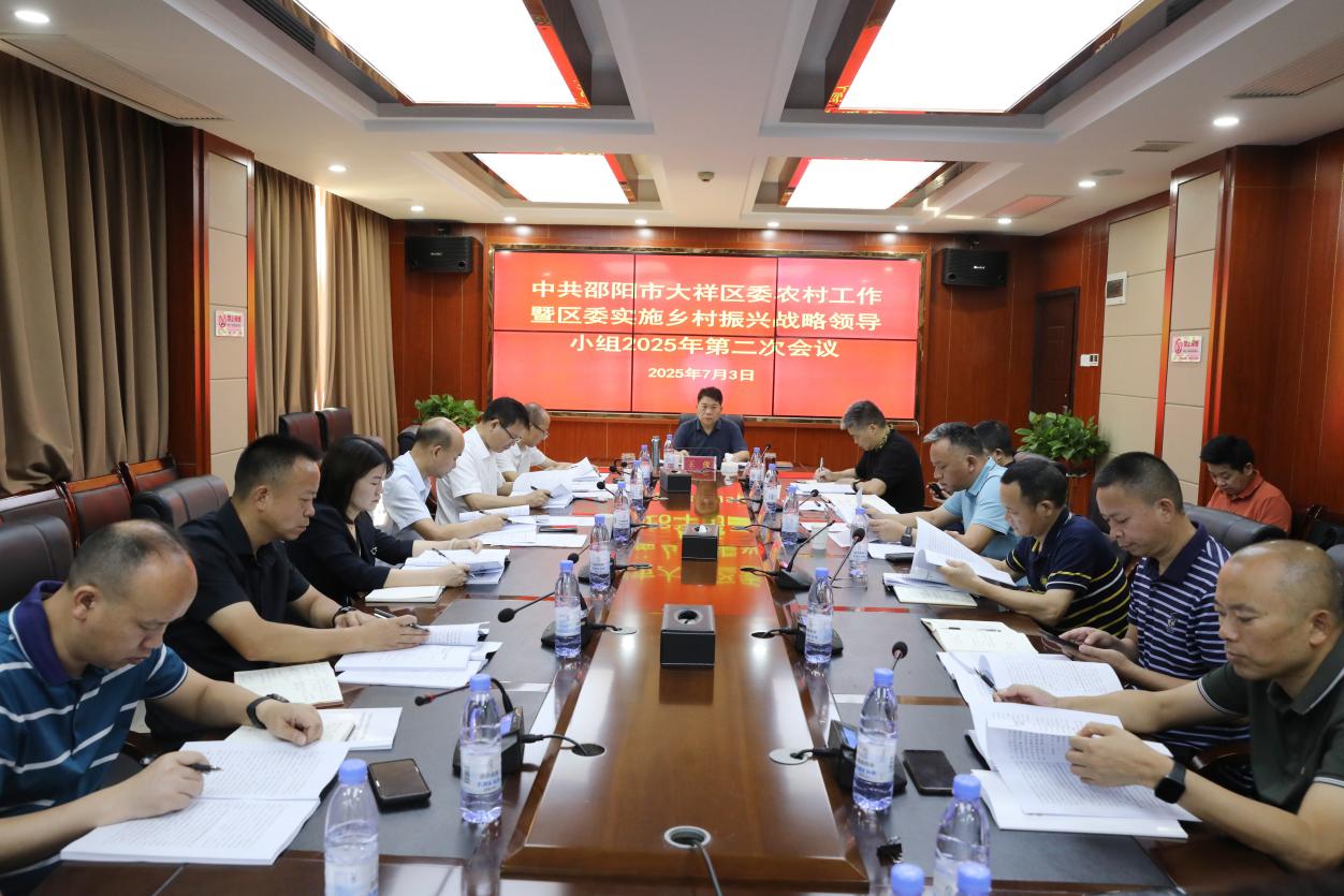 大祥区召开区委农村工作暨区委实施乡村振兴战略领导小组2025年第二次会议(图1)