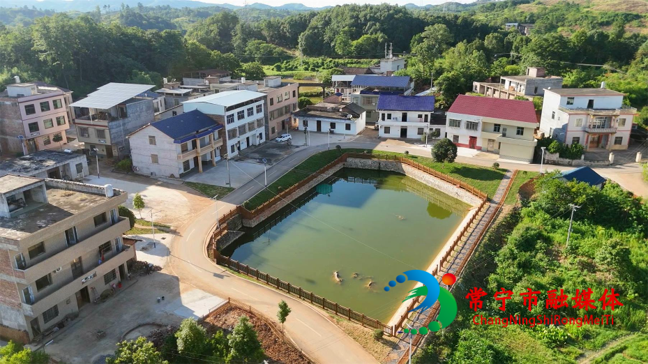 应伏村3.jpg