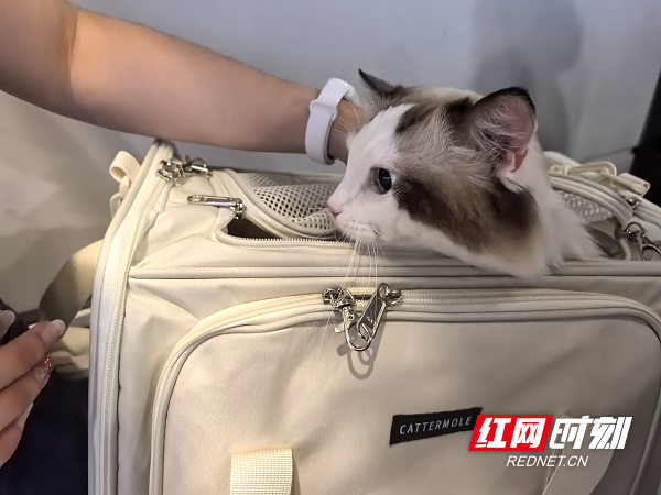 微信图片_20250708104838.jpg