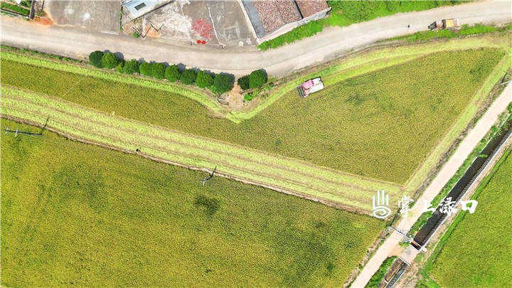 DJI_20250708120337_0417_D[00-00-11][20250708-113510749].jpg