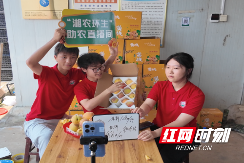 微信图片_20250709100226.png