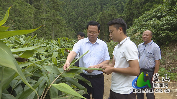 龙向洋前往犁头瑶族乡调研巩固拓展脱贫攻坚成果同乡村振兴有效衔接工作图片.jpg