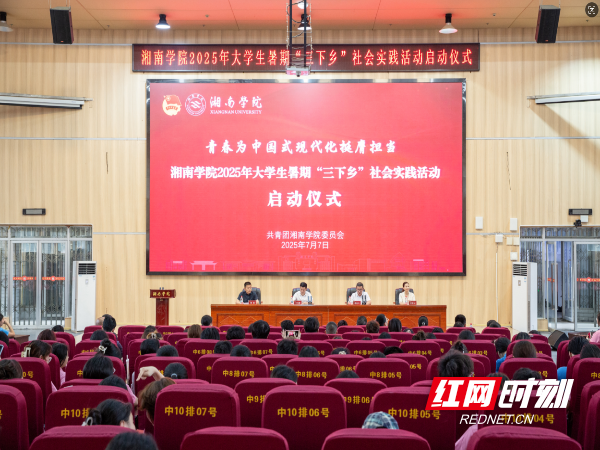 三下乡1_AI看图.png