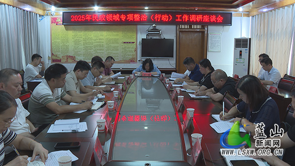 邓群调研民政领域专项整治（行动）工作.jpg
