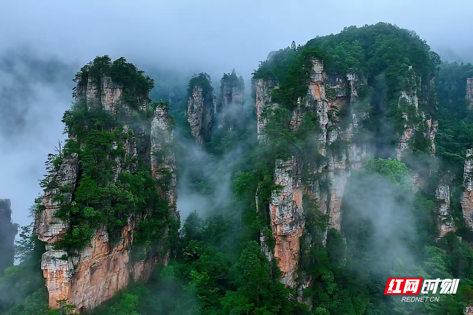 微信图片_2025-07-10_101513_562.jpg