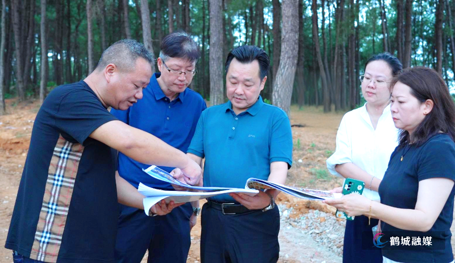 唐成调研鹤城区重点文旅项目建设并督导检查安全生产工作1.jpg