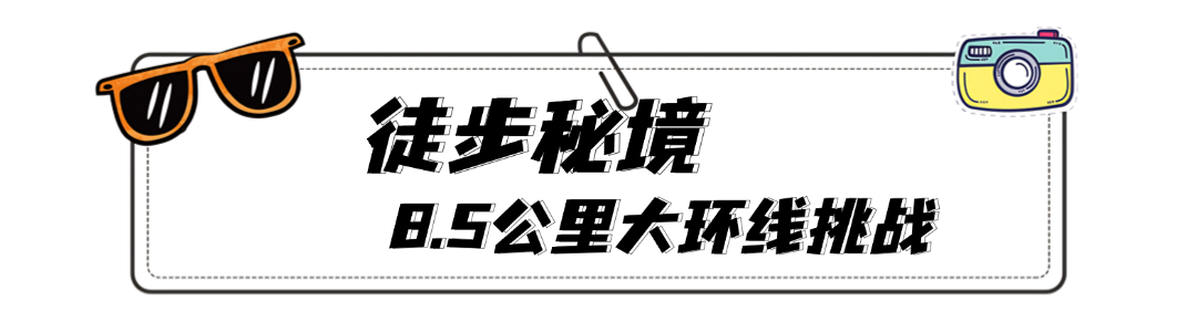 政务新闻精神党政融媒体文章标题 (23).png